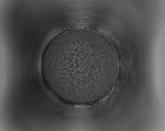 X0000093130242200710101104