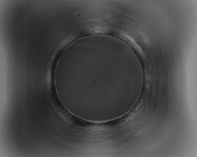 X0000093130250200710101104