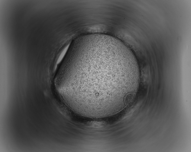 X0000093130255200710101104