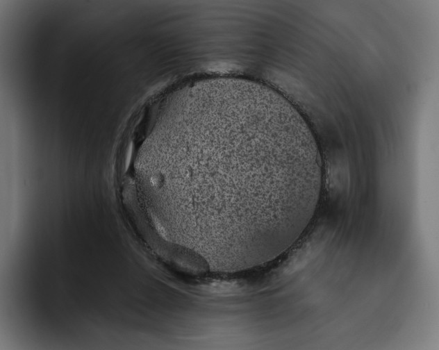 X0000093130256200710101104