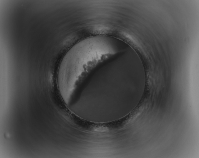 X0000093130258200710101104