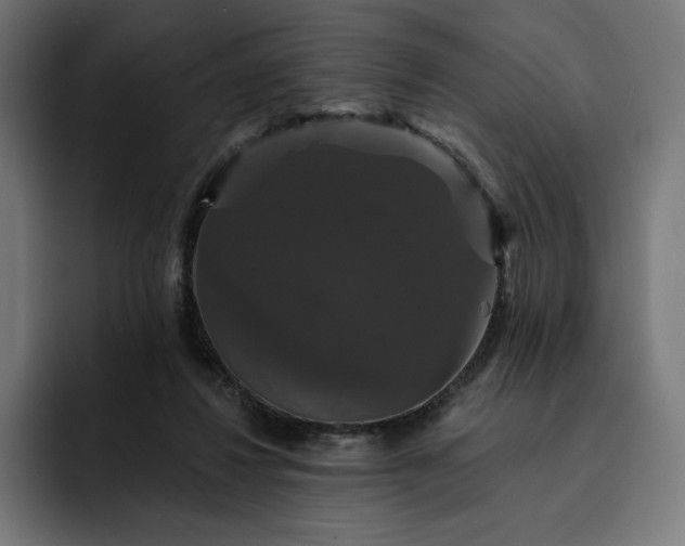 X0000093130260200710101104