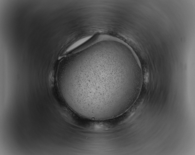 X0000093130264200710101104