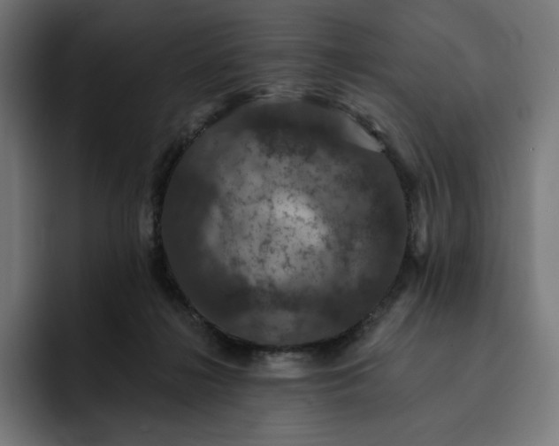 X0000093130268200710101104