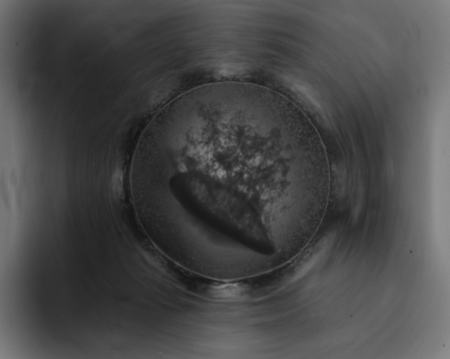 X0000093130269200710101104