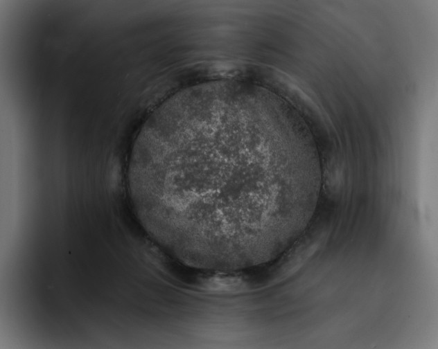 X0000093130270200710101104