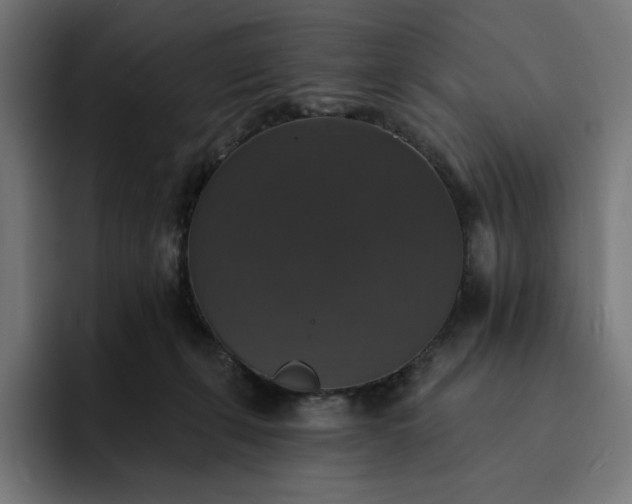 X0000093130271200710101104