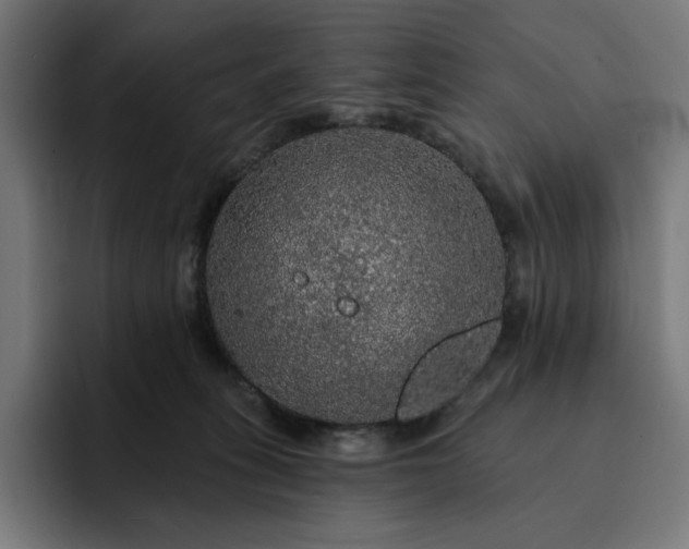 X0000093130275200710101104