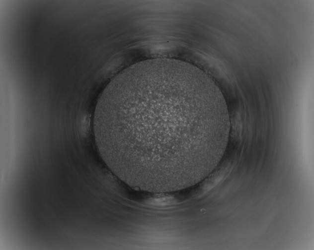 X0000093130278200710101104