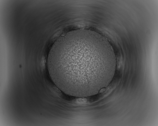 X0000093130279200710101104