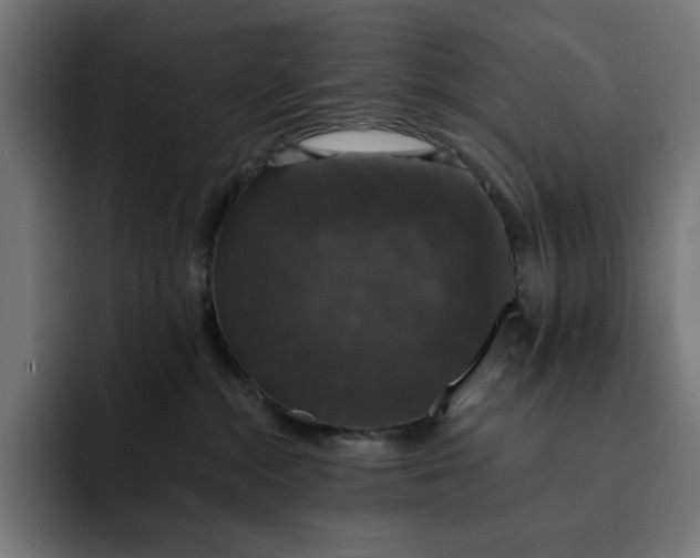 X0000093130284200710101104