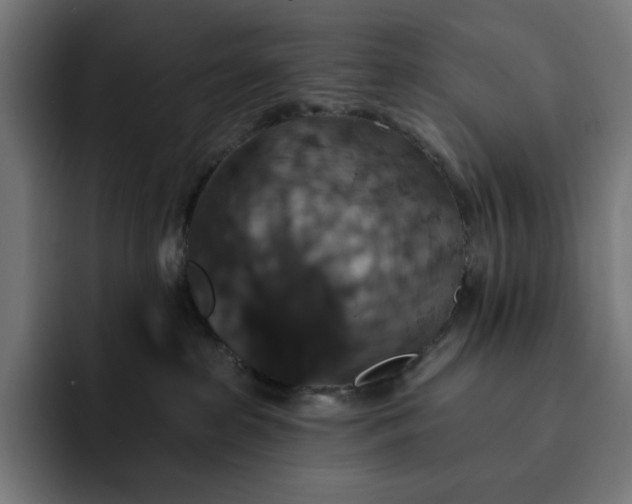 X0000093130285200710101104