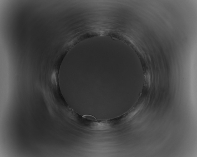 X0000093130286200710101104