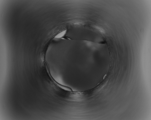 X0000093130288200710101104