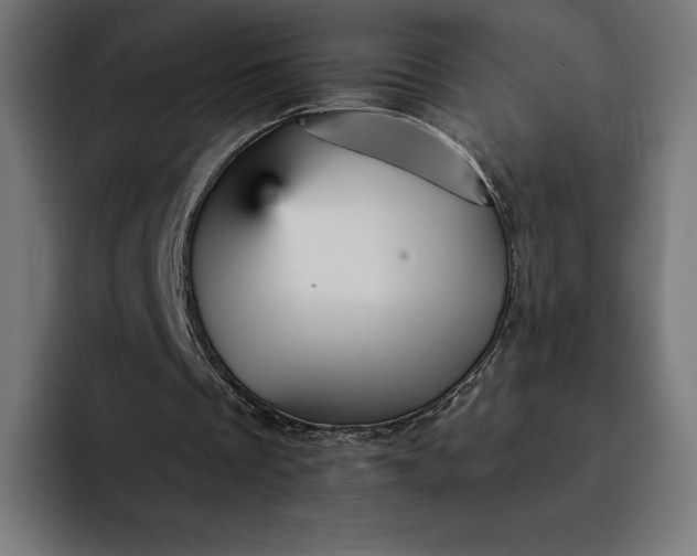 X0000093130289200710101104