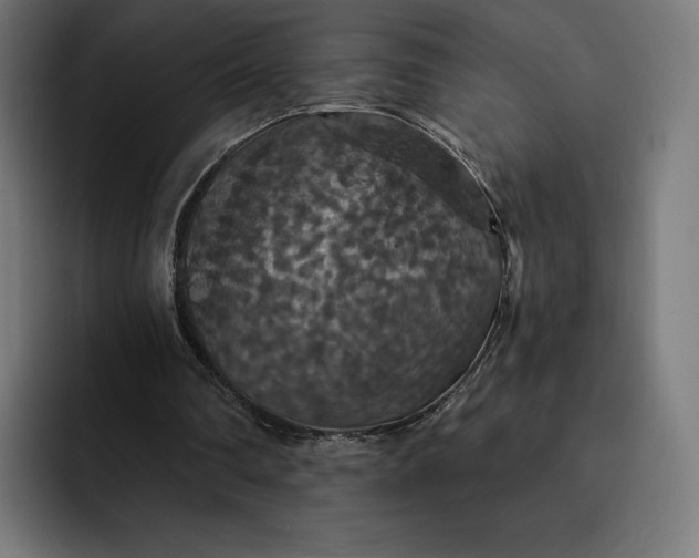 X0000093130290200710101104