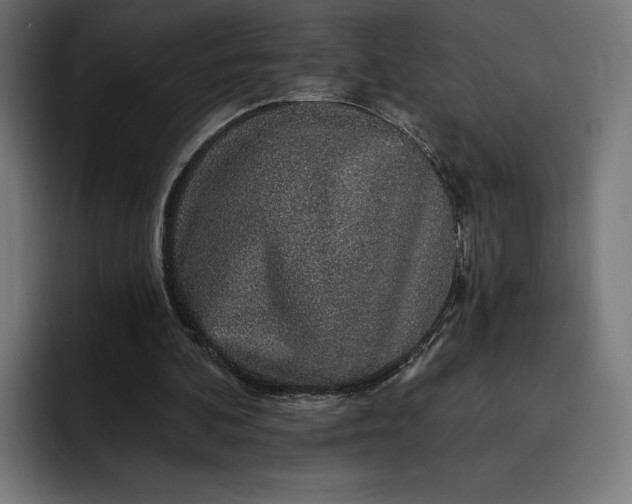 X0000093130292200710101104