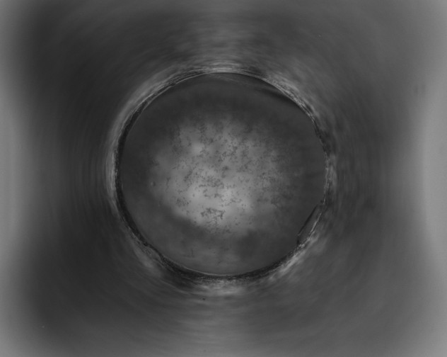 X0000093130293200710101104