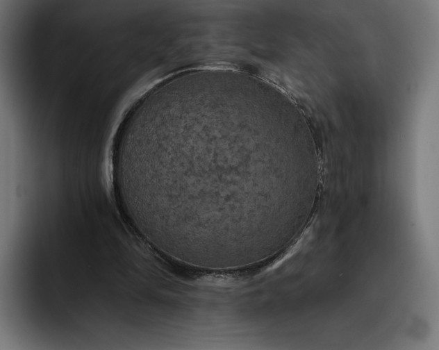 X0000093130294200710101104