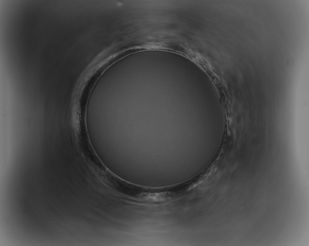 X0000093130295200710101104