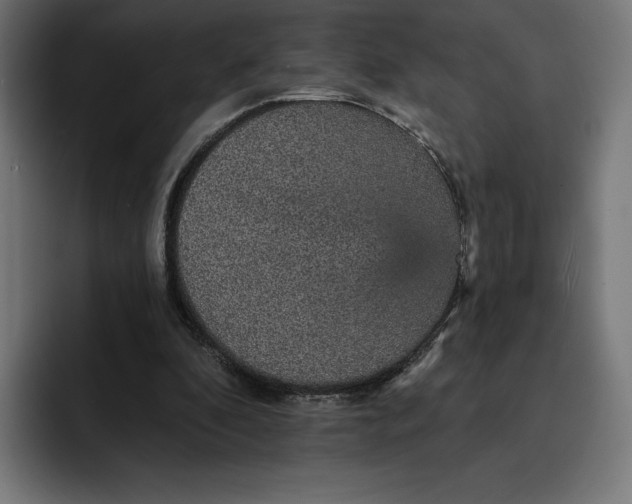 X0000093130296200710101104