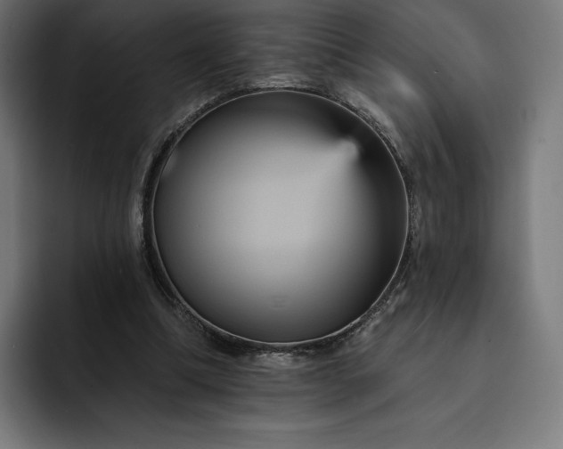 X0000093130298200710101104