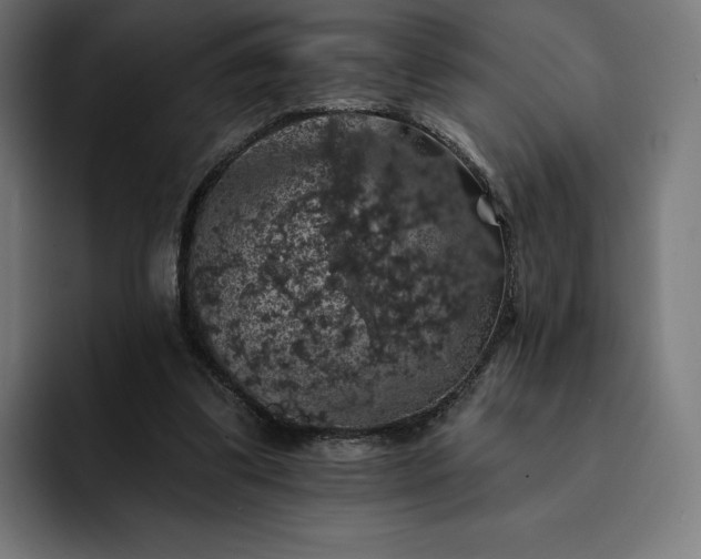 X0000093130299200710101104