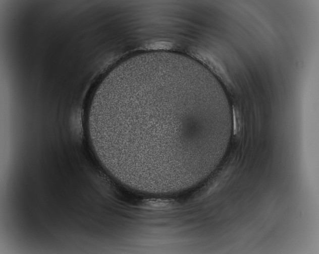 X0000093130300200710101104