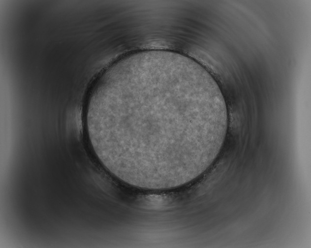 X0000093130302200710101104