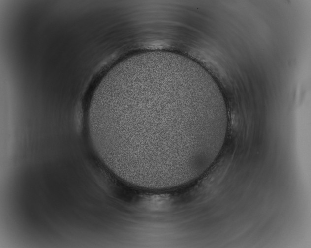 X0000093130304200710101104