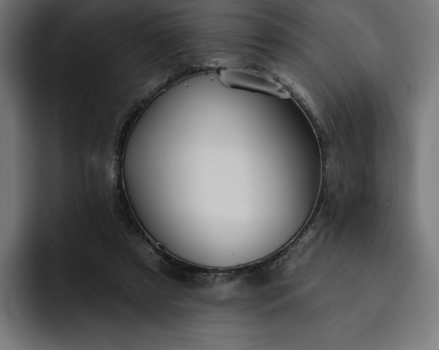 X0000093130305200710101104