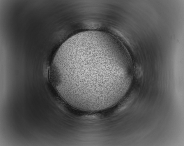 X0000093130307200710101104