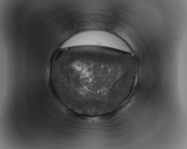 X0000093130309200710101104