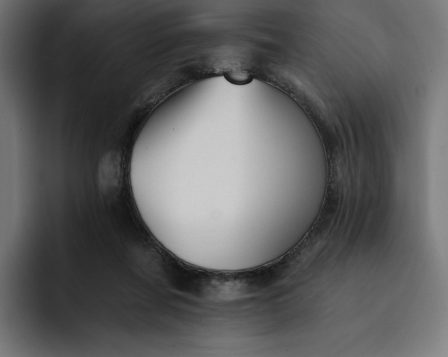 X0000093130311200710101104