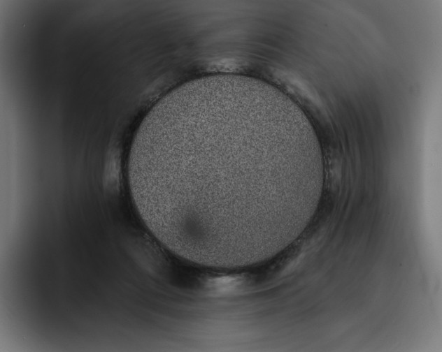 X0000093130312200710101104