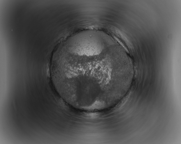 X0000093130313200710101104