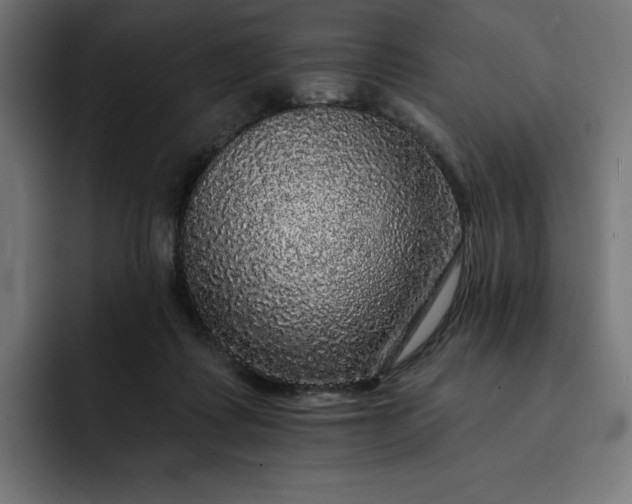 X0000093130315200710101104