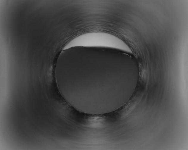 X0000093130319200710101104