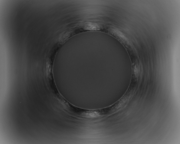 X0000093130322200710101103