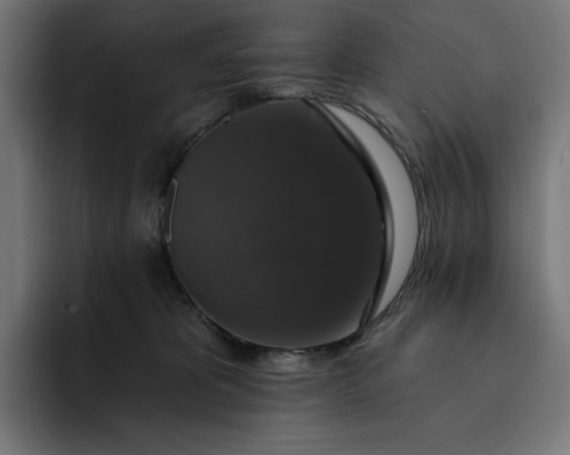 X0000093130325200710101103