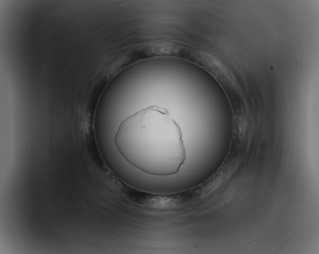 X0000093130326200710101103