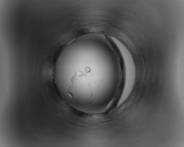 X0000093130329200710101103