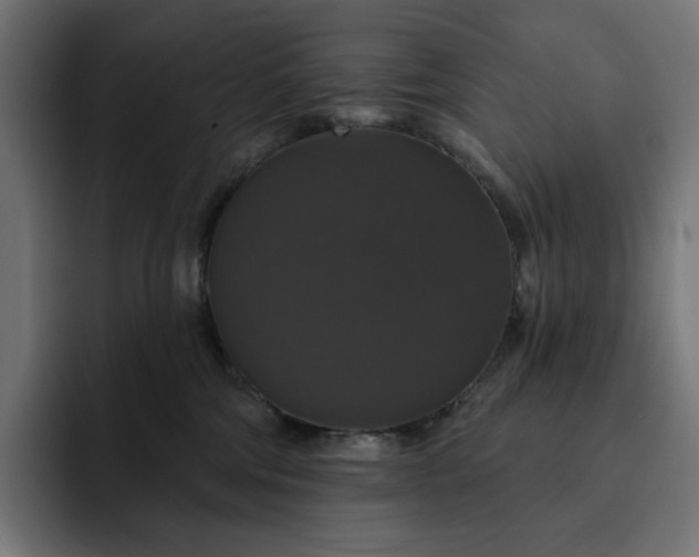 X0000093130330200710101103