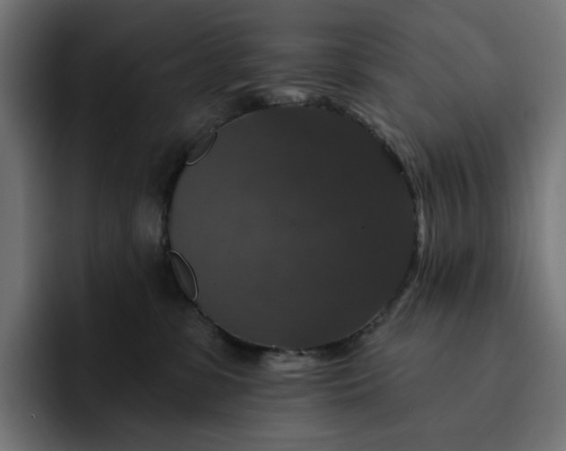 X0000093130331200710101103