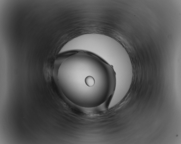 X0000093130333200710101103