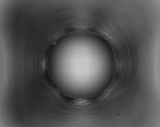 X0000093130334200710101103