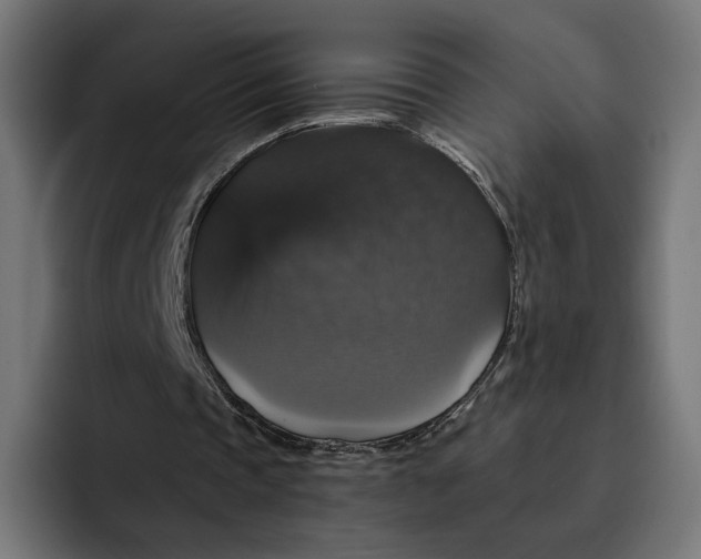 X0000093130337200710101103