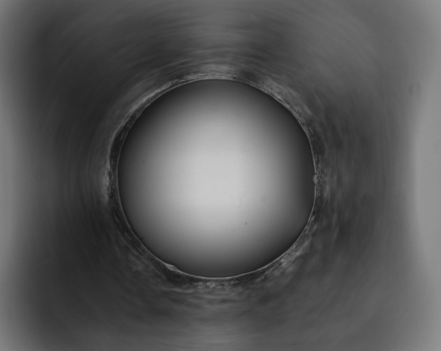 X0000093130338200710101103