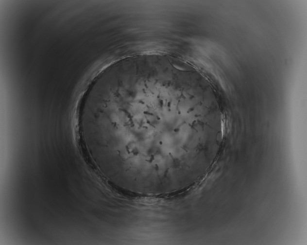 X0000093130339200710101103