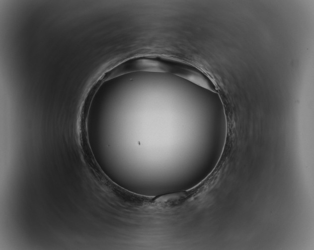 X0000093130340200710101103